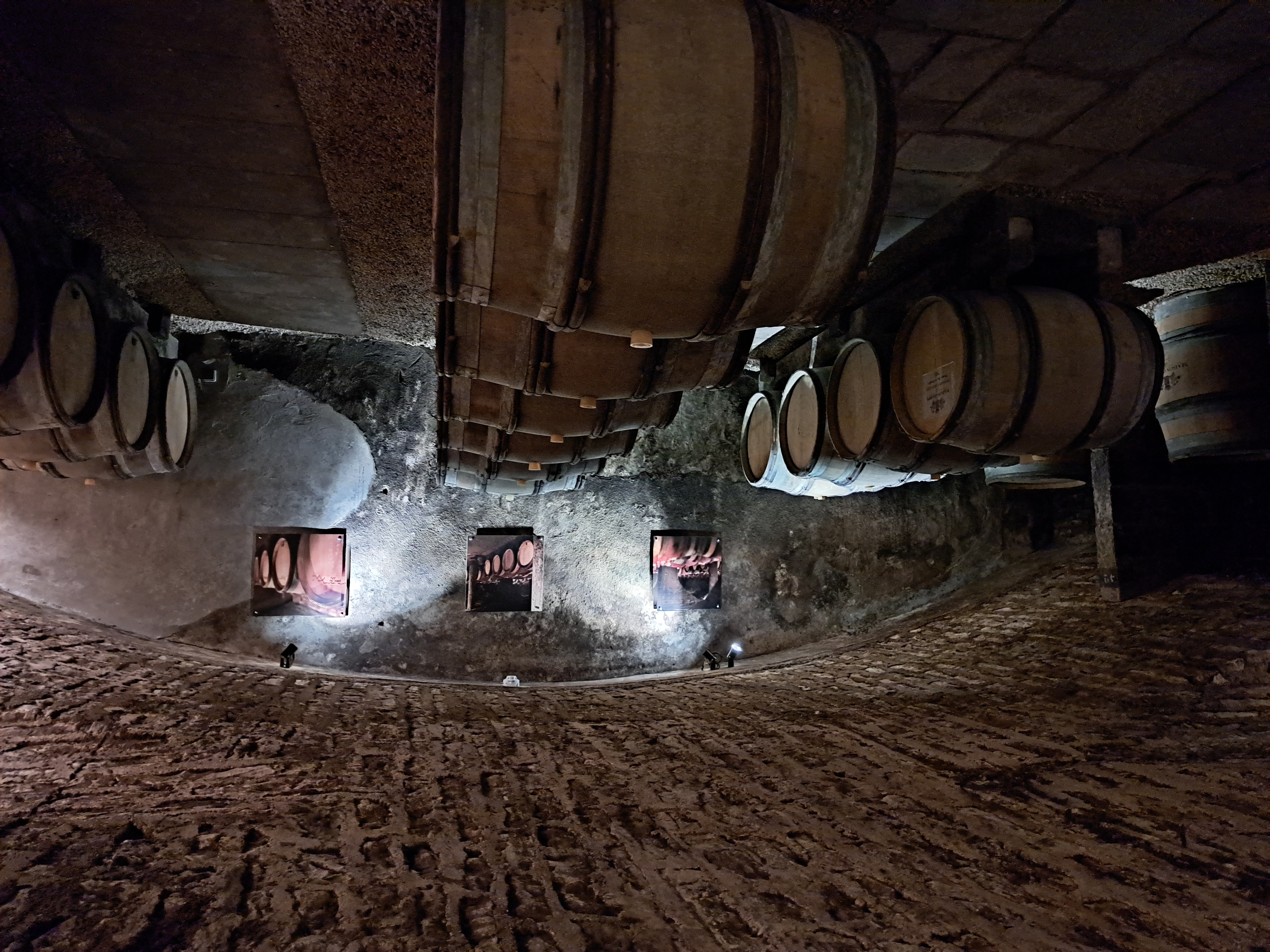 Wooden barrels at Maison Champy in Beaune, Burgundy